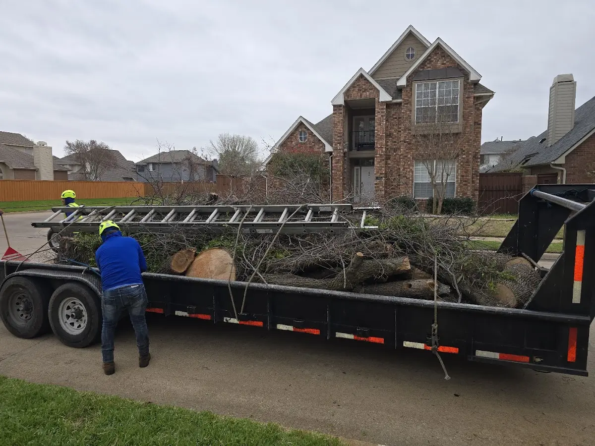 Expert Tree Fertilization with proper safety equipment in Bates City